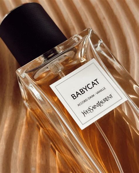 babycat ysl palacio de hierro|Yves Saint Laurent: Perfume Babycat Eau de  .